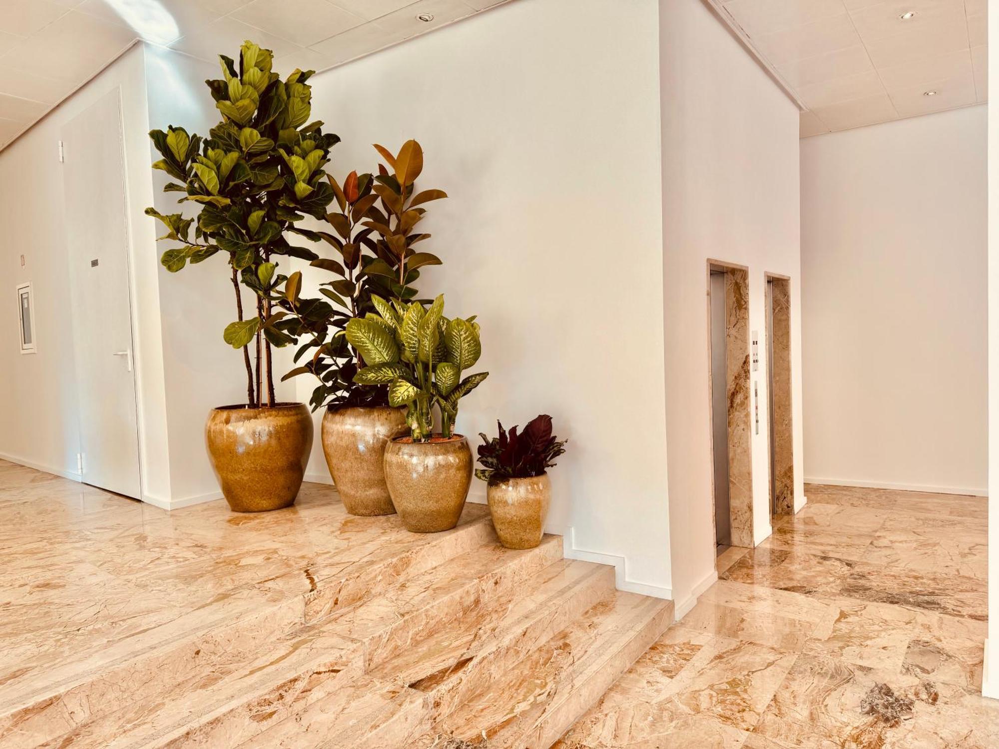 Hotel Pex مانتوفا المظهر الخارجي الصورة